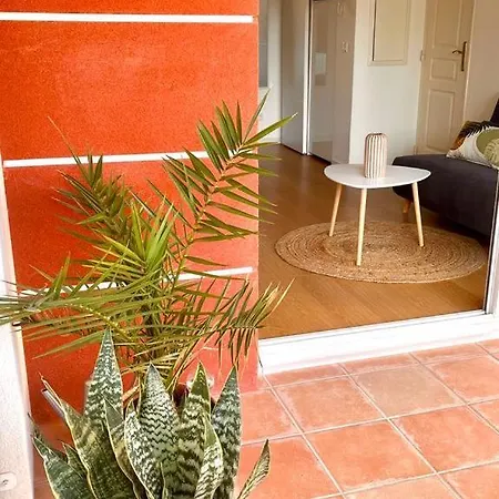 Bel Au Calme Climatise Avec Terrasse *
